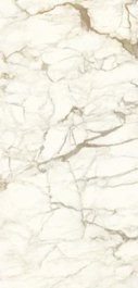 1632XYS132-3金絲網(wǎng)連紋